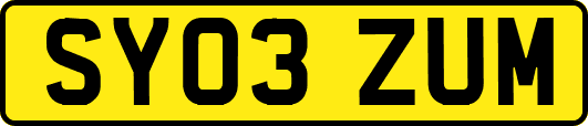 SY03ZUM