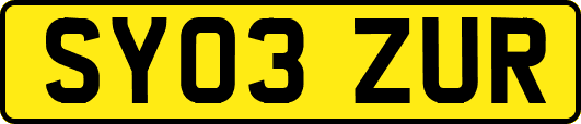SY03ZUR