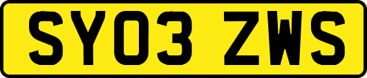 SY03ZWS
