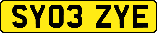SY03ZYE