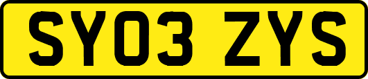 SY03ZYS