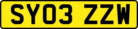 SY03ZZW