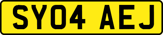SY04AEJ