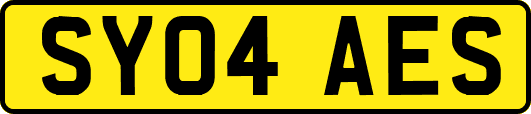 SY04AES
