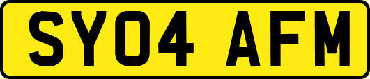 SY04AFM