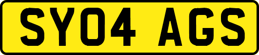 SY04AGS