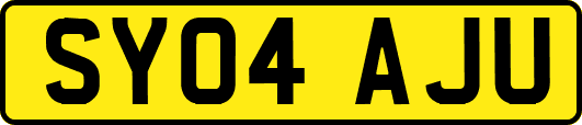 SY04AJU
