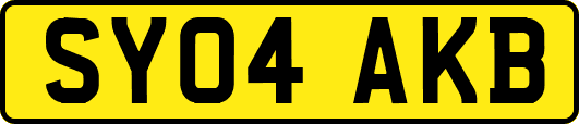 SY04AKB