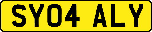 SY04ALY