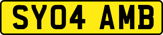 SY04AMB