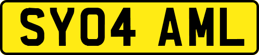 SY04AML