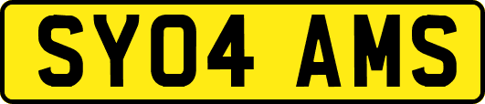 SY04AMS
