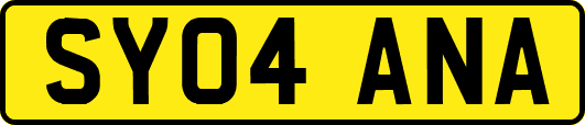 SY04ANA