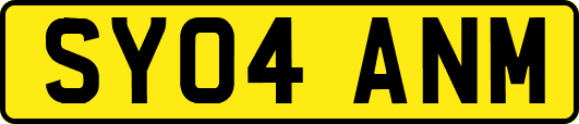 SY04ANM