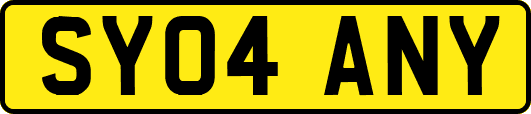 SY04ANY