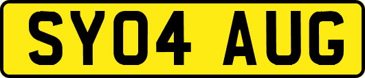 SY04AUG