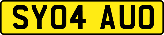 SY04AUO