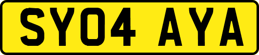 SY04AYA