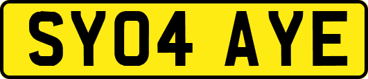 SY04AYE