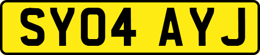 SY04AYJ