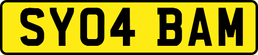 SY04BAM