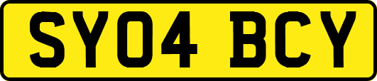 SY04BCY