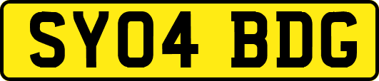 SY04BDG