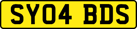 SY04BDS
