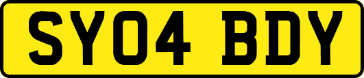 SY04BDY