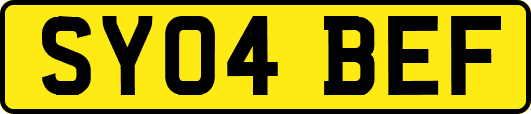 SY04BEF