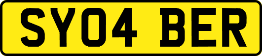 SY04BER