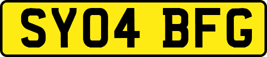 SY04BFG