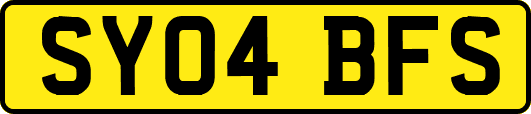 SY04BFS
