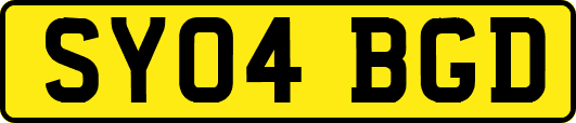 SY04BGD