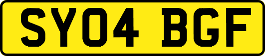 SY04BGF