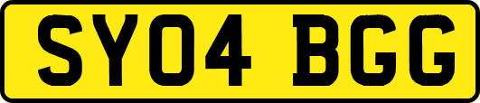 SY04BGG