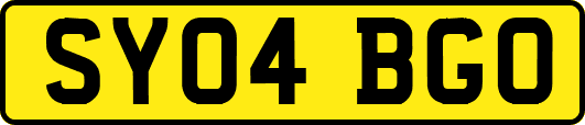 SY04BGO