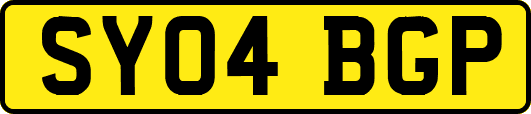 SY04BGP