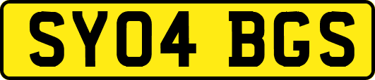 SY04BGS