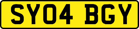 SY04BGY