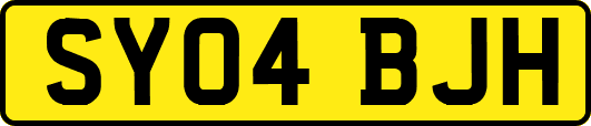 SY04BJH