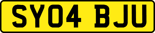 SY04BJU