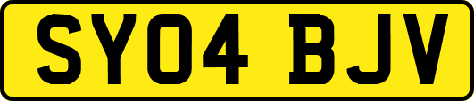 SY04BJV