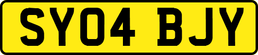 SY04BJY