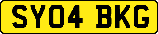 SY04BKG