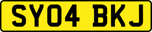 SY04BKJ