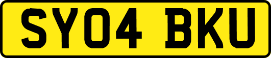 SY04BKU
