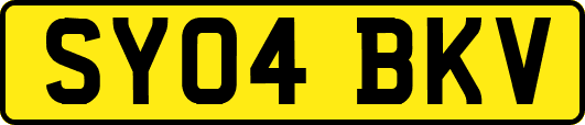 SY04BKV