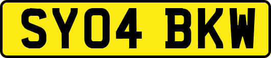 SY04BKW