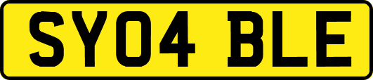 SY04BLE